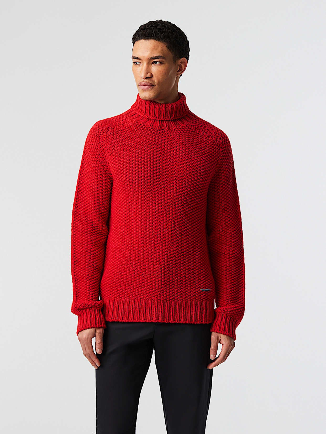 日本全国送料無料商品 | 特集  Seamless 3D Chunky Knit Turtleneck Sweater | FINAR V1.Y8.02 犬服・アクセサリー
