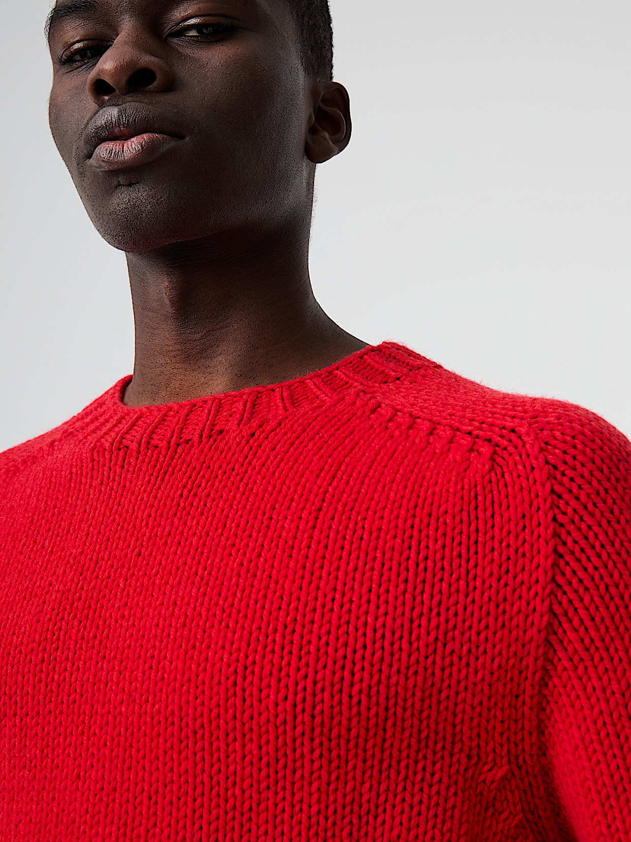 Seamless 3D Chunky Knit Crewneck Sweater | FINAW V1.Y8.02 | Red | AlphaTauri
