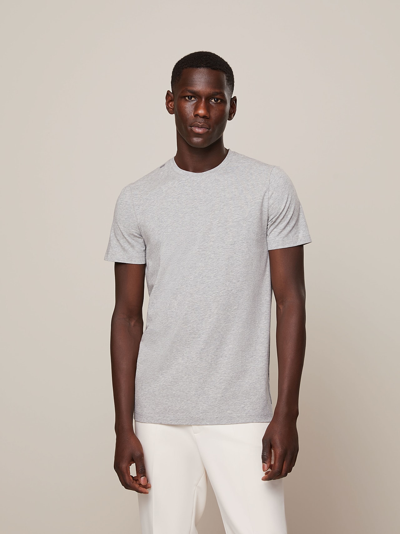 AlphaTauri | BARU V2.Y4.01 | Classic Taurex® Crewneck T-shirt in Grey / Melange for Men AlphaTauri | BARU V2.Y4.01 | Classic Taurex® Crewneck T-shirt in Grey / Melange for Men