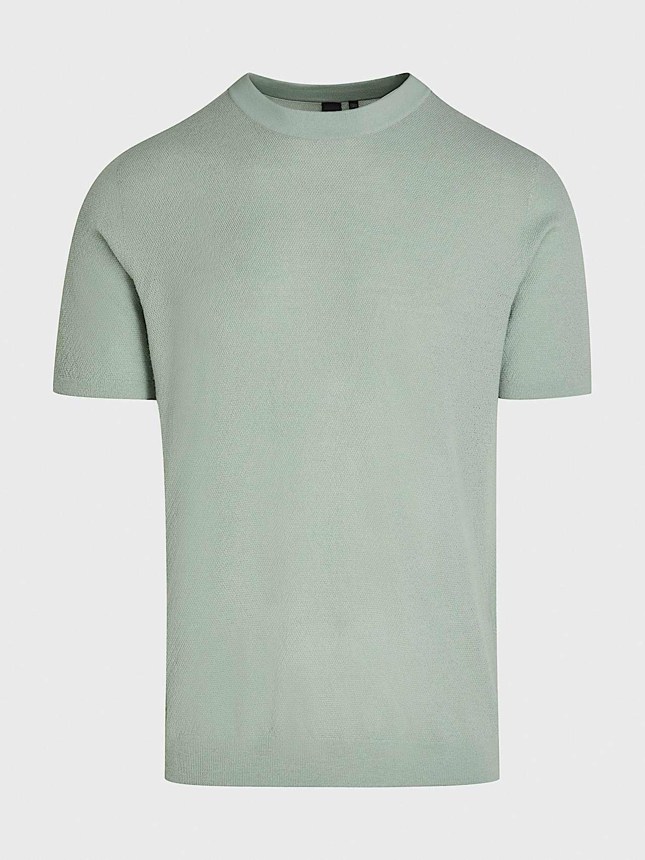 AlphaTauri | FECAS V2.Y8.01 | Seamless 3D Knit Cashmere-Coolmax® T-Shirt in Dusty Mint for Men