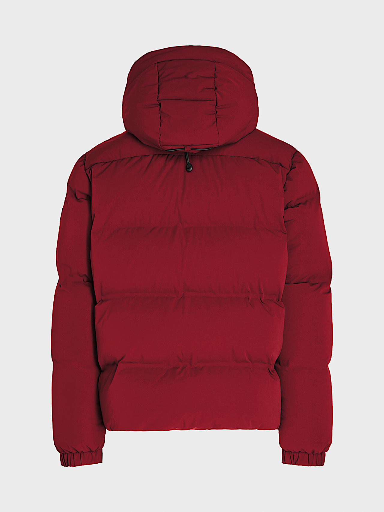 AlphaTauri | ODORU V3.Y8.02 | Padded Down Puffer Jacket in Dark Berry for Men
