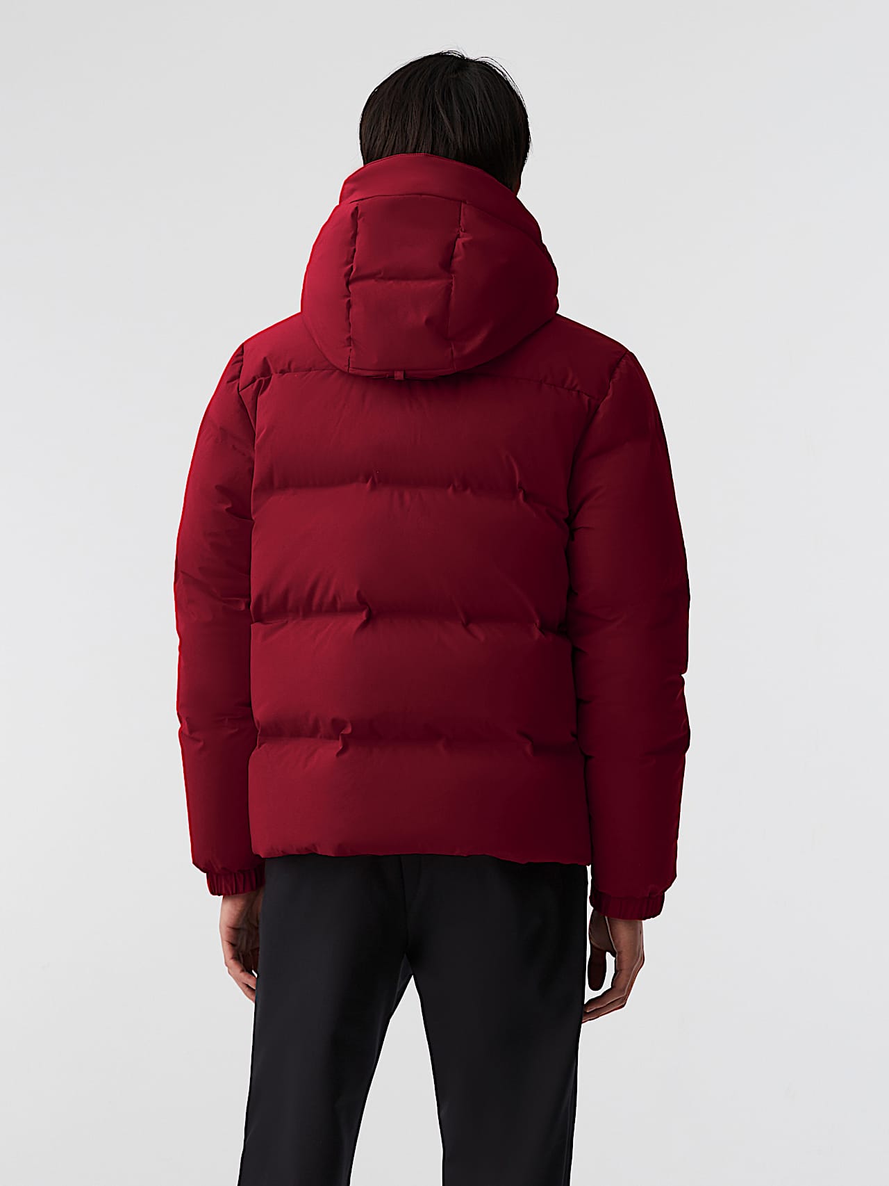 AlphaTauri | ODORU V3.Y8.02 | Padded Down Puffer Jacket in Dark Berry for Men
