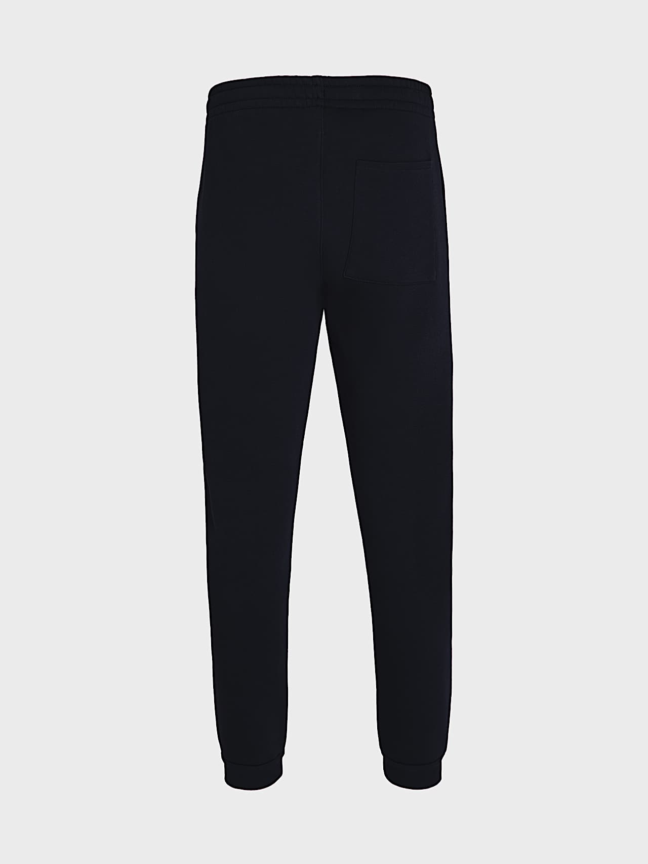 AlphaTauri | PHERO V2.Y8.02 | Pantaloni della tuta con logo esclusivo in Blu Marino for Uomo