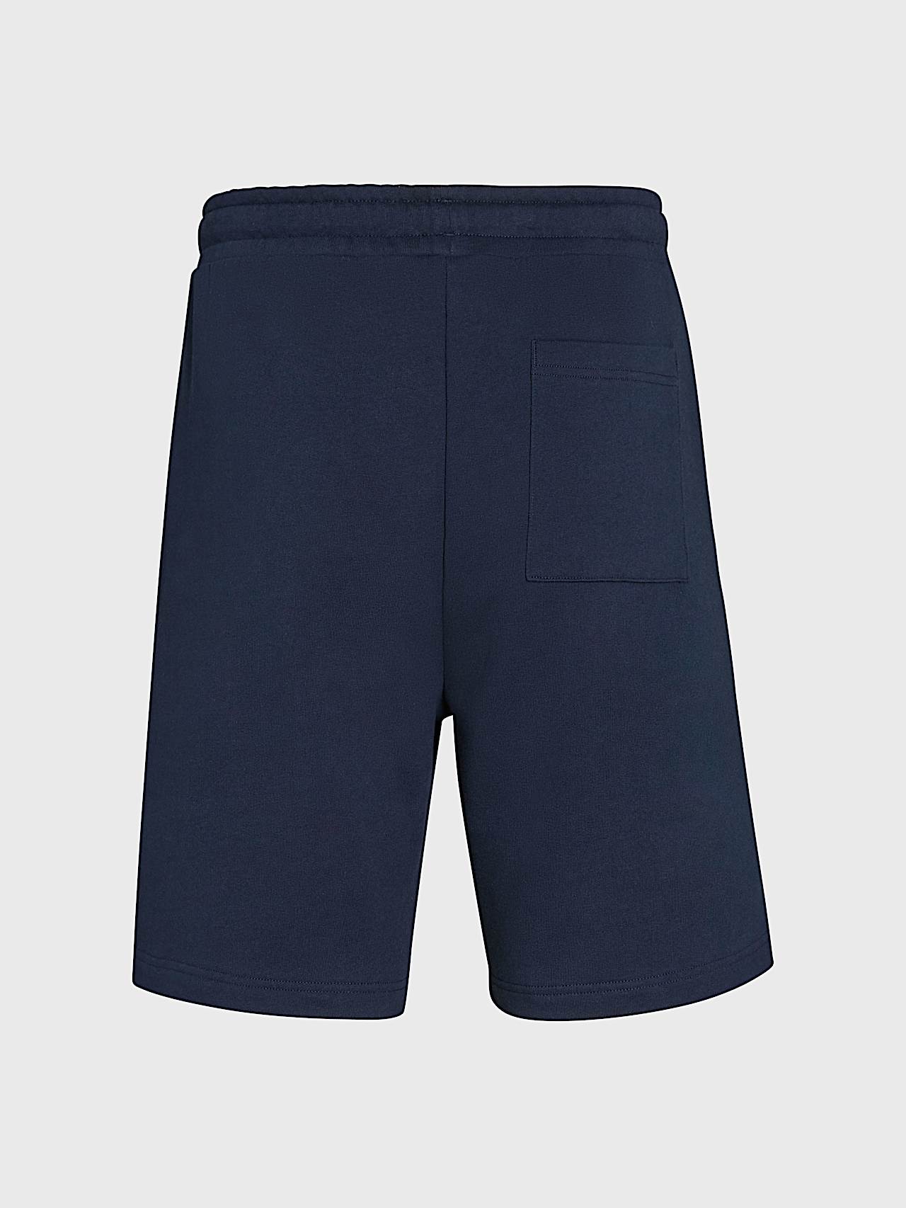 AlphaTauri | PHARS V2.Y10.01 | Short de sport Signature Logo in Dark Navy for Homme
