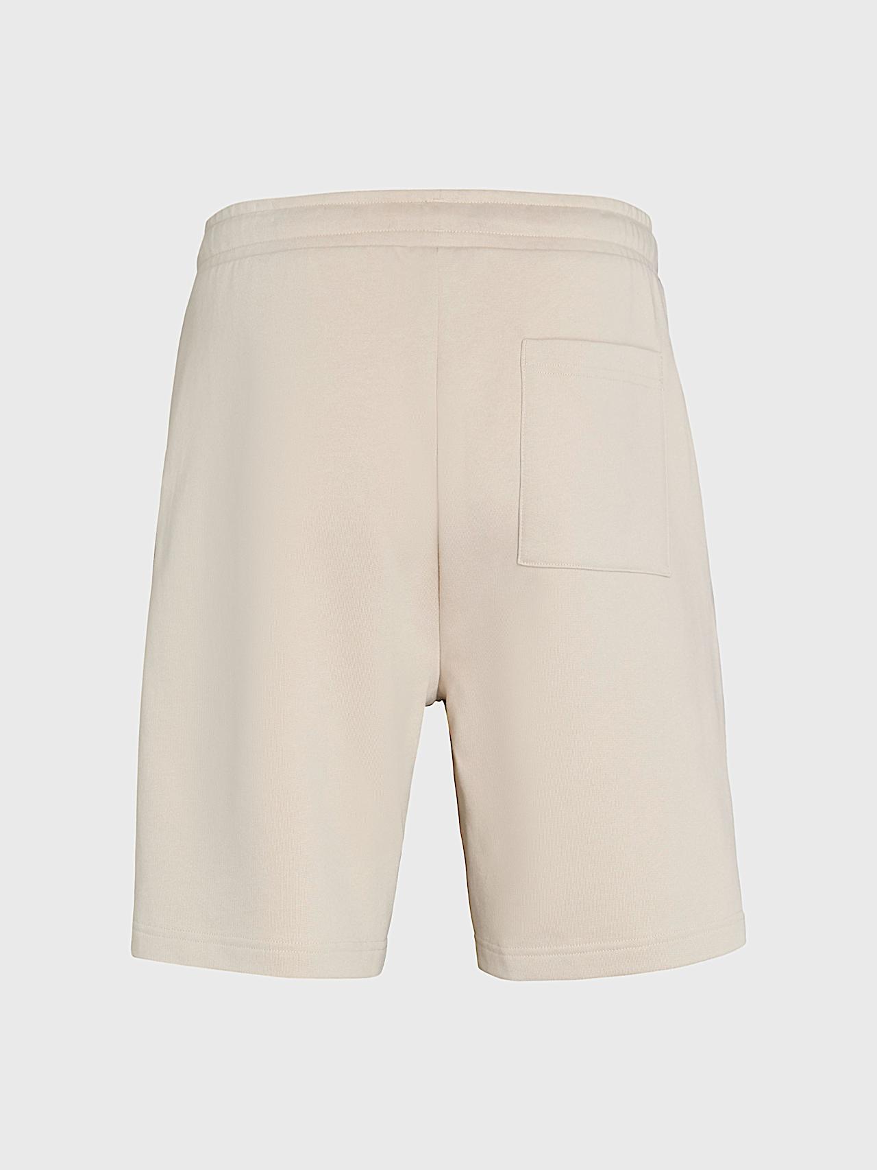 AlphaTauri | PHARS V2.Y10.01 | Signature Logo Sweatshorts in Stone for Men