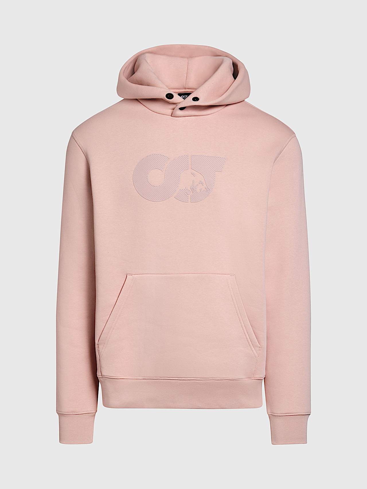 AlphaTauri | SHERO V2.Y8.02 | Hoodie mit charakteristischem Logo in Misty Pink für Herren