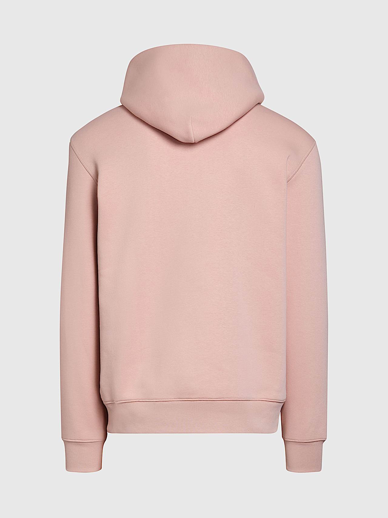 AlphaTauri | SHERO V2.Y8.02 | Hoodie mit charakteristischem Logo in Misty Pink für Herren