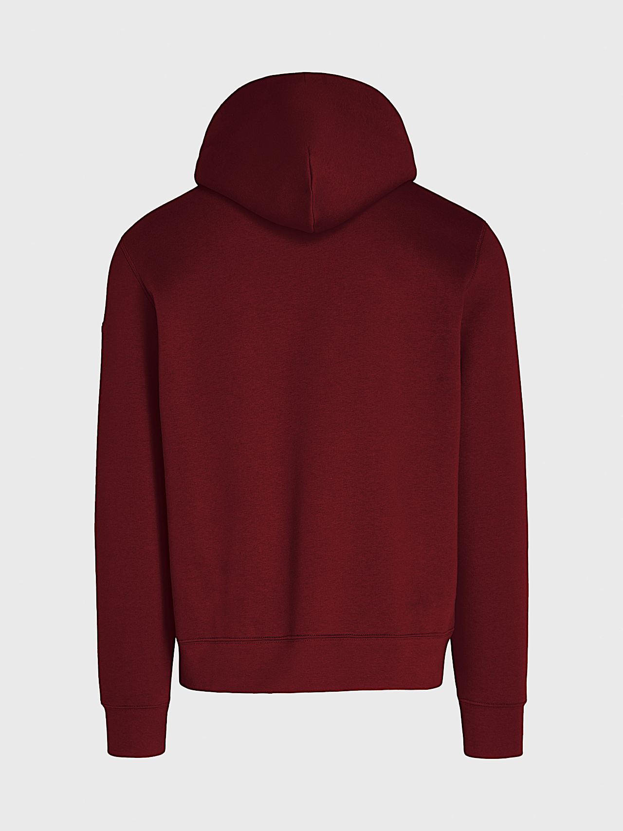 AlphaTauri | SHERO V2.Y8.02 | Signature Logo Hoodie in Dark Berry for Men