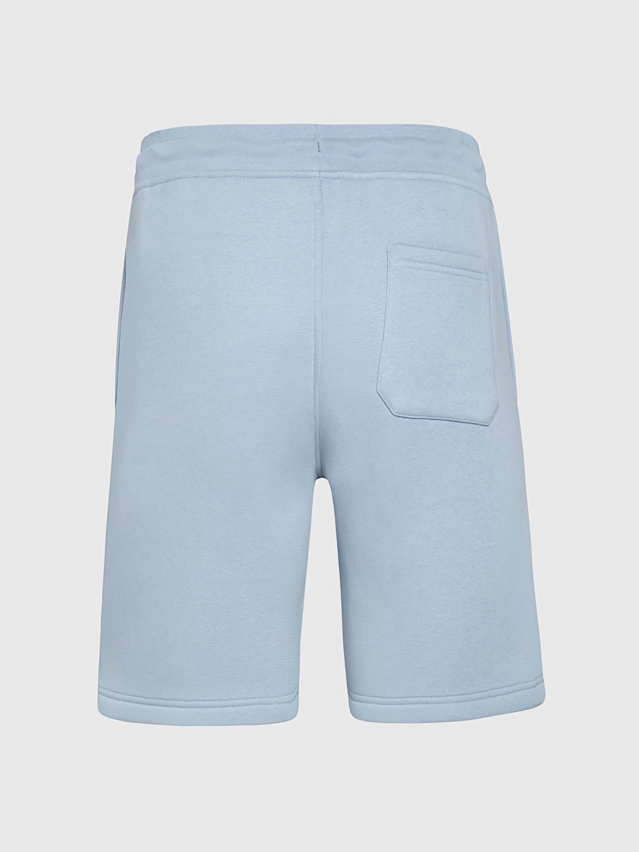 AlphaTauri | PHARS V1.Y9.01 | Sweatshorts mit charakteristischem Logo in Fog Blue für Herren AlphaTauri | PHARS V1.Y9.01 | Sweatshorts mit charakteristischem Logo in Fog Blue für Herren