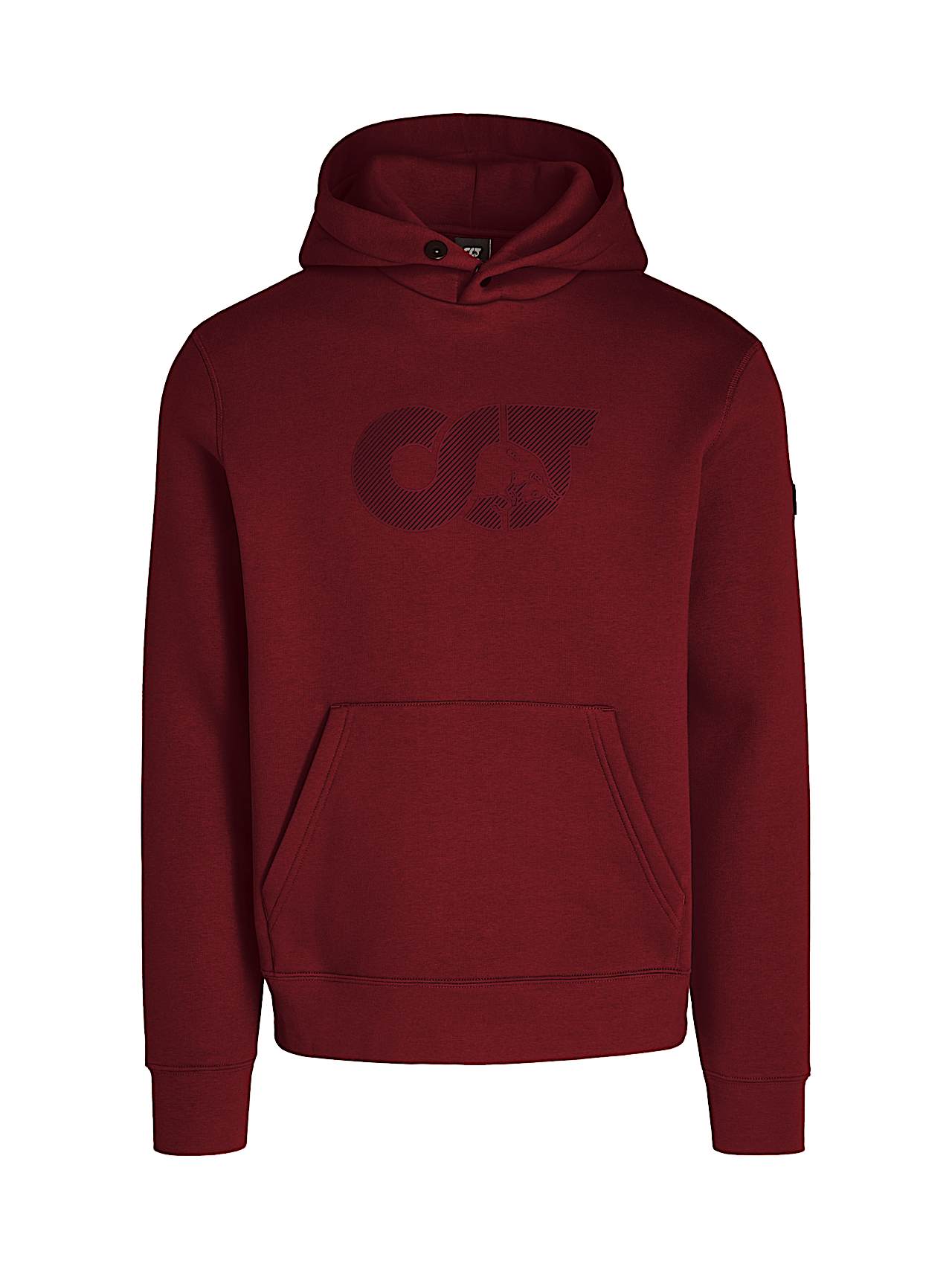 AlphaTauri | SHERO V2.Y8.02 | Sudadera con capucha y logotipo de la marca in Dark Berry for Hombre