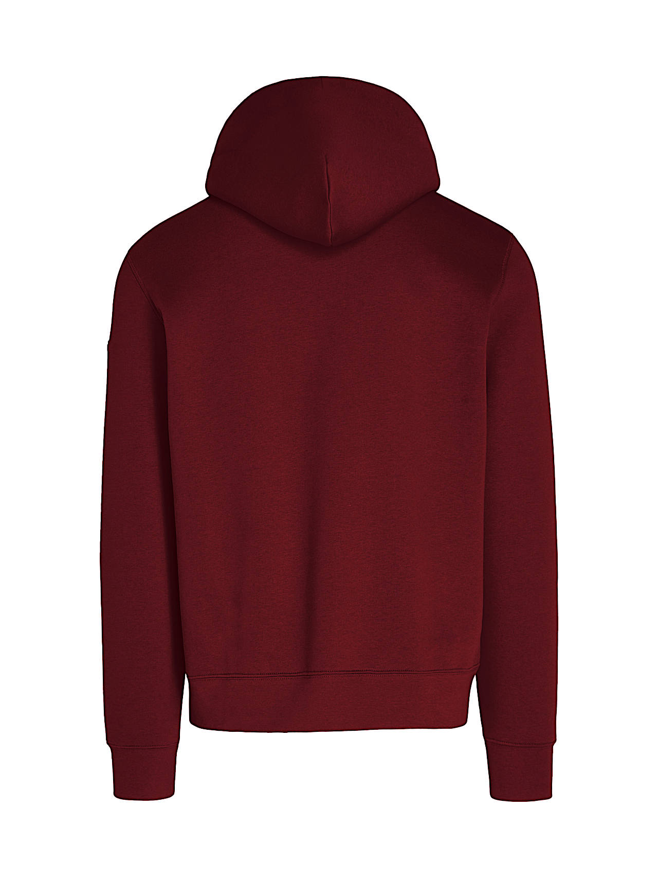 AlphaTauri | SHERO V2.Y8.02 | Hoodie mit charakteristischem Logo in Dark Berry für Herren